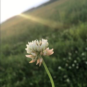 Meet your Posher, Jade